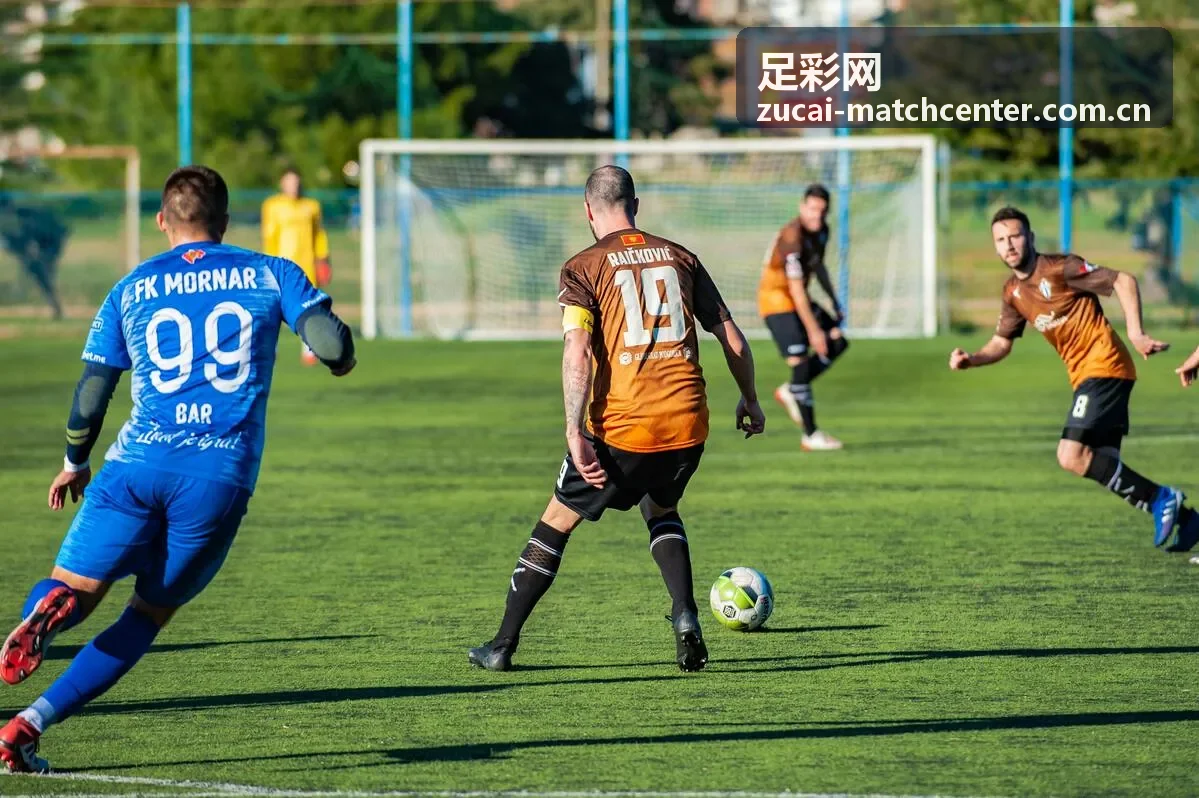 足彩网数据阅读专题的足球比赛资料画面